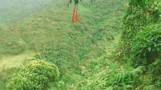 الكولومبي في الغابة لإعطاء اللغة مارس الجنس مع الغرباء ممارسة الجنس مقابل الحصول على مساعدة مالية.