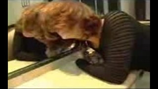 Ɖ�淫和assfucked