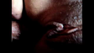 The സമനിരപ്പുണ്ടാക്കുക കഴുത