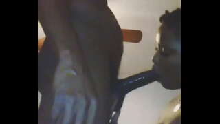 Pa gen anyen tankou yon femèl chen ki renmen souse dick