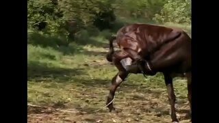 Кӱшкыжат Секс Тунда